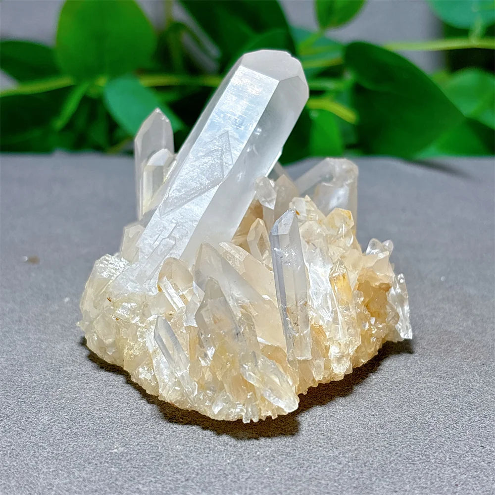 Clear Quartz Cluster Specimen - Raw Crystal Natural Quartz Stone Minerals for Garden Decorations, Reiki Gifts, Energy Healing, and Spiritual Wellness