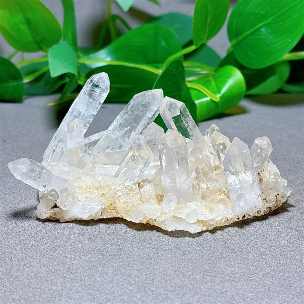 Clear Quartz Cluster Specimen - Raw Crystal Natural Quartz Stone Minerals for Garden Decorations, Reiki Gifts, Energy Healing, and Spiritual Wellness